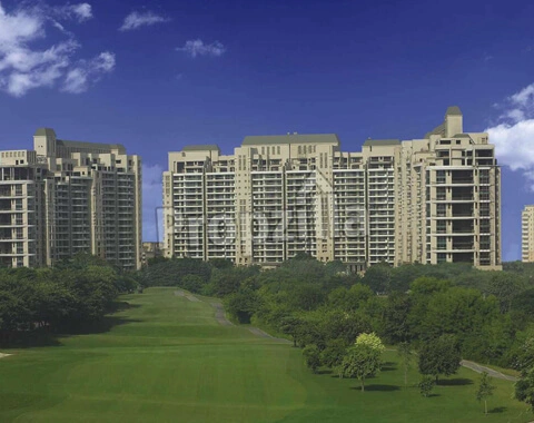 DLF The Magnolias