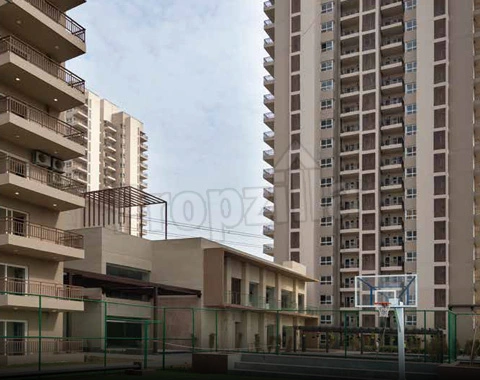 Adani Oyster Grande